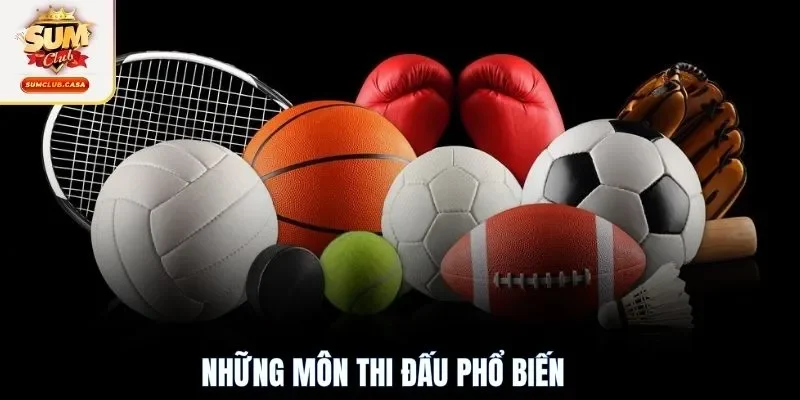 Những môn thi đấu phổ biến