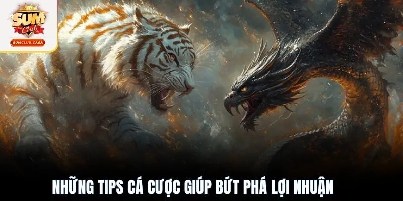 Những tips cá cược giúp bứt phá lợi nhuận